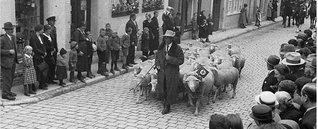 Ein Bild mit ungewollter Symbolik: Schafe unterm Hakenkreuz